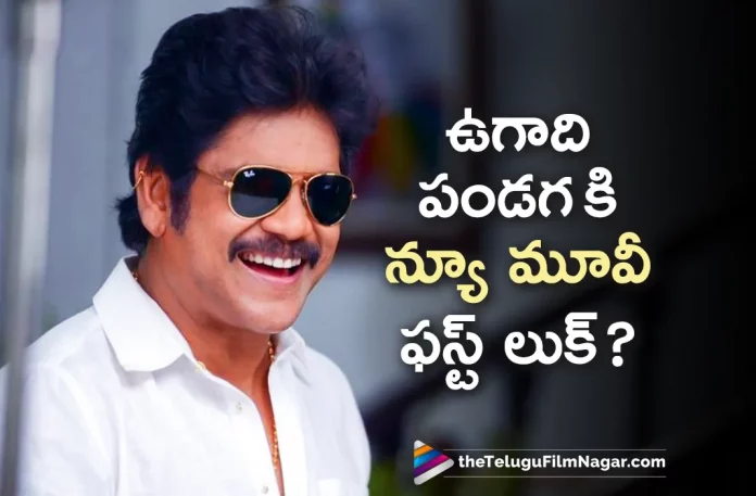 Nagarjuna And Prasanna Kumar Movie First Look To Be Out On Ugadi,Telugu Filmnagar,Latest Telugu Movie News,Telugu Film News 2023,Tollywood Movie Updates,Latest Tollywood News,Nagarjuna And Prasanna Kumar,Nagarjuna And Prasanna Kumar Movie,Nagarjuna And Prasanna Kumar Movie Update,Nagarjuna And Prasanna Kumar Movie First Look,Nagarjuna And Prasanna Kumar Release Date,Nagarjuna And Prasanna Kumar On Ugadi,Nagarjuna,Nagarjuna Movies,Nagarjuna New Movie,Nagarjuna Next Movie,Nagarjuna Latest Movie,Nagarjuna Upcoming Movie,Nagarjuna New Movie First Look,Prasanna Kumar,Nagarjuna Latest Movie First Look