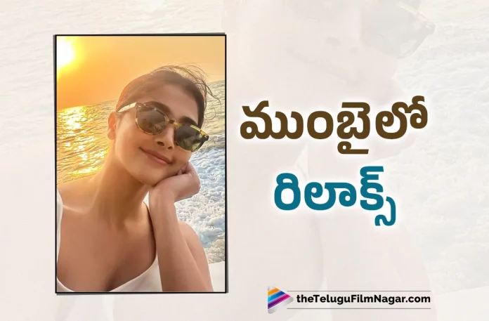 Pooja Hegde Shares Her Latest Photo On Instagram,Telugu Filmnagar,Latest Telugu Movies News,Telugu Film News 2023,Tollywood Movie Updates,Latest Tollywood Updates,Pooja Hegde,Pooja Hegde Movies,Pooja Hegde New Movie,Pooja Hegde Latest Movie,Pooja Hegde Upcoming Movies,Pooja Hegde Latest News,Pooja Hegde Movie Updates,Actress Pooja Hegde,Heroine Pooja Hegde,Pooja Hegde Shares Her Latest Photo,Pooja Hegde Photos,Pooja Hegde Pics,Pooja Hegde Pictures,Pooja Hegde Images,Pooja Hegde Latest Stills.Pooja Hegde Stills,Pooja Hegde New Stills,Pooja Hegde Latest Photo Gallery,Pooja Hegde Latest Photo,Pooja Hegde Latest Pic,Pooja Hegde Picture,Pooja Hegde Latest Image,Pooja Hegde Latest Instagram Photo,Pooja Hegde On Instagram,Pooja Hegde Latest Photo On Instagram,Pooja Hegde New Look,Pooja Hegde Latest Look,Pooja Hegde Look