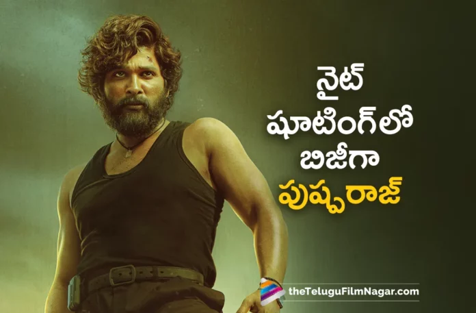 Allu Arjun Pushpa 2 Movie Latest Updates