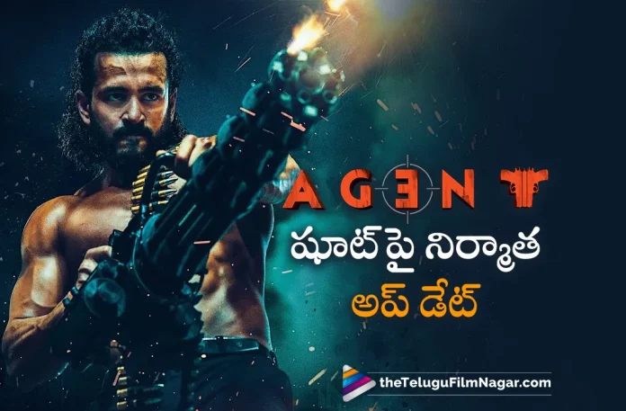 Producer Anil Sunkara Gave Interesting Update On Agent Shooting,Telugu Filmnagar,Latest Telugu Movie News,Telugu Film News 2023,Tollywood Movie Updates,Latest Tollywood News,Agent,Agent Movie,Agent Telugu Movie,Agent Movie Updates,Agent Telugu Movie Latest News,Akhil Agent Movie,Akhil Agent,Anil Sunkara Update On Agent Shooting,Producer Anil Sunkara,Anil Sunkara,Anil Sunkara Update About Agent Shooting,Agent Shooting,Agent Movie Shooting,Agent Movie Shooting Update,Agent Shooting Update,Agent Movie Latest Shooting Update,Agent Latest Shooting Update,Akhil Agent Movie Latest Shooting Update,Akhil Agent Latest Shooting Update,Akhil Agent Movie Shooting Update,Akhil Agent Shooting Update,Akhil,Akhil Movies,Akhil New Movie,Akhil Latest Movie