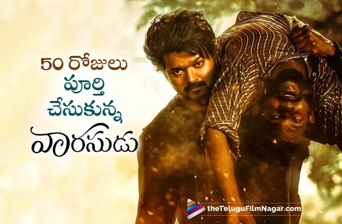 Thalapathy Vijay Varisu Movie Completes 50 Days,Telugu Filmnagar,Latest Telugu Movie News,Telugu Film News 2023,Tollywood Movie Updates,Latest Tollywood News,Vaarasudu Movie,Vaarasudu,Vaarasudu Telugu Movie,Vaarasudu Movie Updates,Vaarasudu Telugu Movie Latest News,Vaarasudu Completes 50 Days,Vaarasudu Movie Completes 50 Days,Vaarasudu Telugu Movie Completes 50 Days,Vijay,Rashmika Mandanna,Thalapathy Vijay,Thalapathy Vijay Latest News