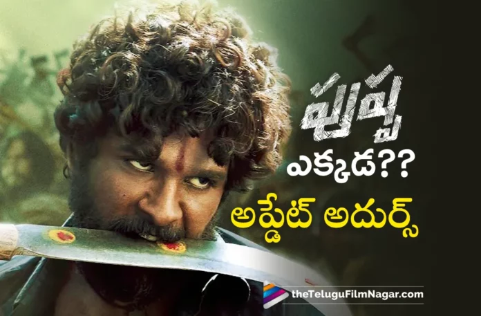 Allu Arjun's Pushpa The Rule Latest Update: Where is Pushpa?