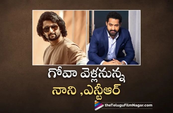 Latest Update about Jr NTR & Nani New Movies