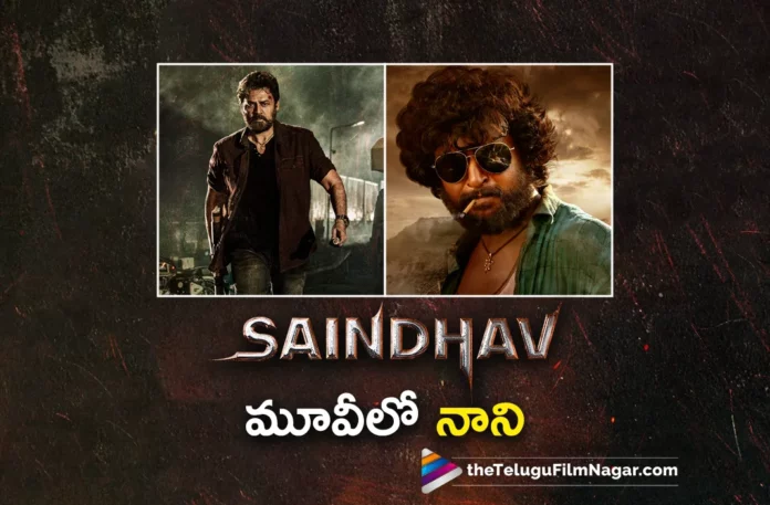 natural star nani cameo in venkatesh saindhav movie