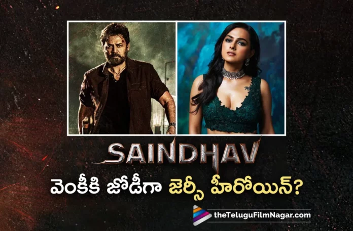 shraddha srinath to play lead heroine in saindhav movie