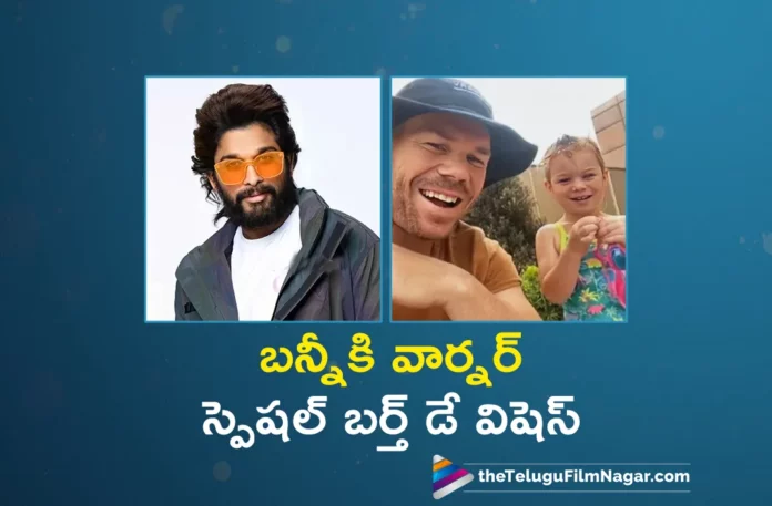 star cricketer david warner special birthday wishes to allu arjun