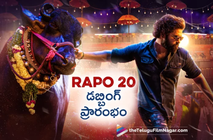 ram pothineni boyapati srinu movie dubbing works start