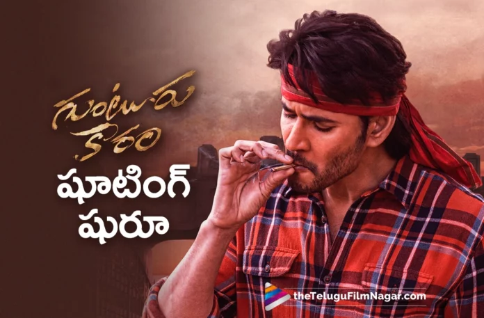 guntur kaaram shooting starts again