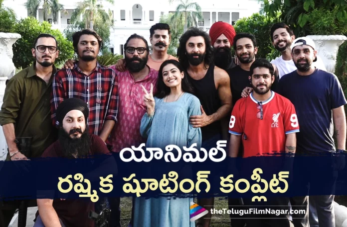 rashmika mandanna wraps up animal movie shoot