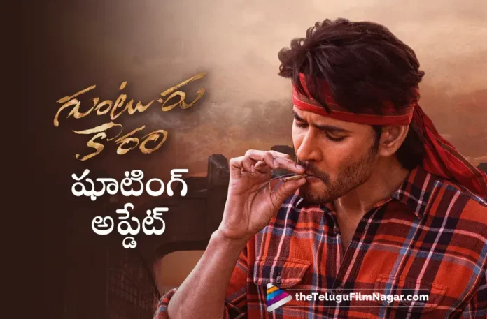 guntur kaaram shooting update