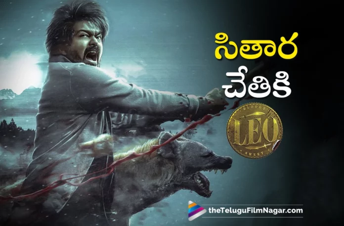 leo telugu theatrical rights bagged by sithara entertainments