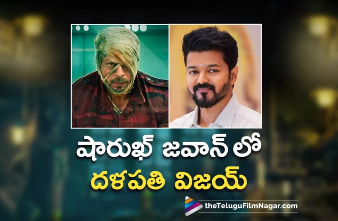 thalapathy vijay cameo in shahrukh khan jawan movie thalapathy vijay cameo in shahrukh khan jawan movie