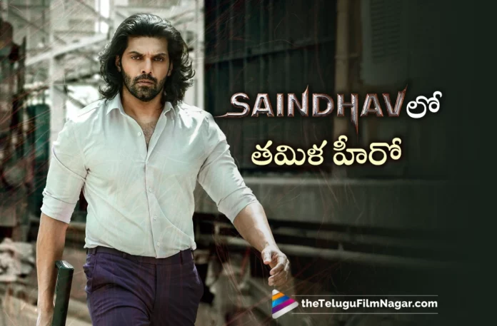 arya first look released from saindhav