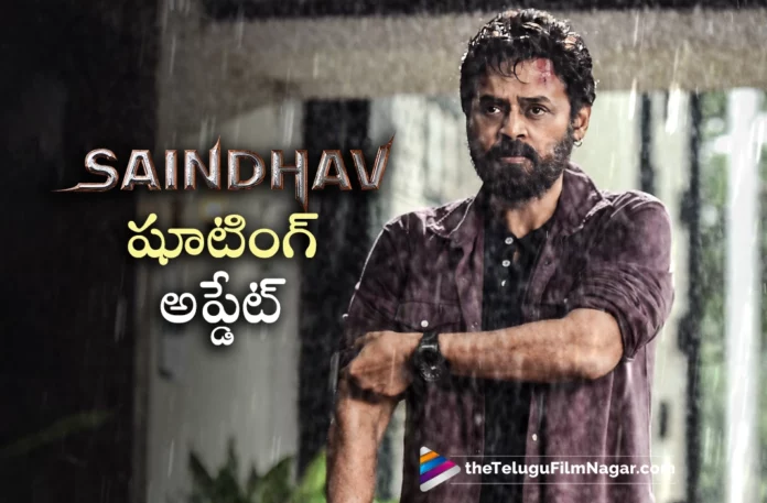 saindhav cmilax schedule wrap