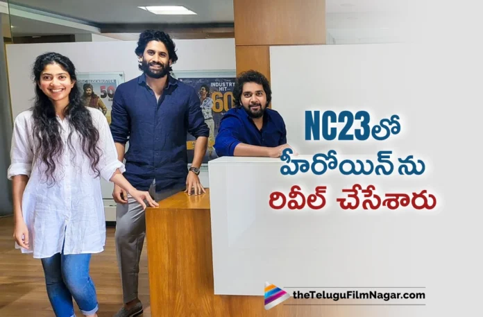 Sai Pallavi Plays The Heroine Role In NC 23 Sai Pallavi Plays The Heroine Role In NC 23