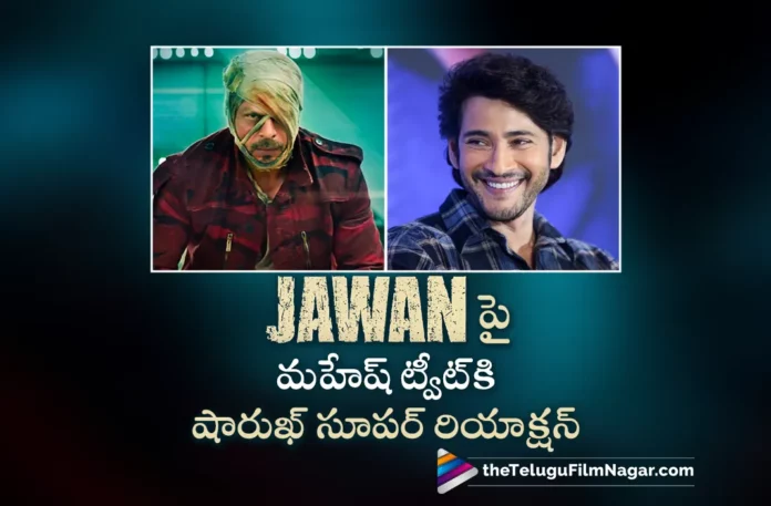 Shah Rukh Khan Reply To Mahesh Babu's Tweet on Jawan