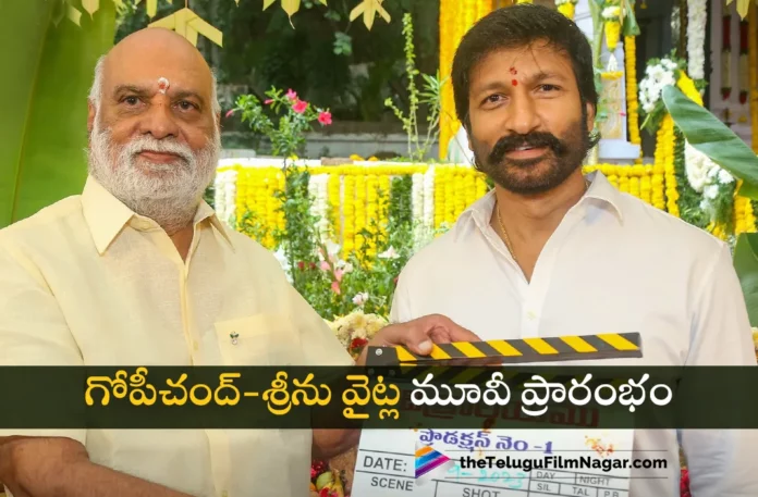 gopichand and sreenu vaitla new movie grand launch