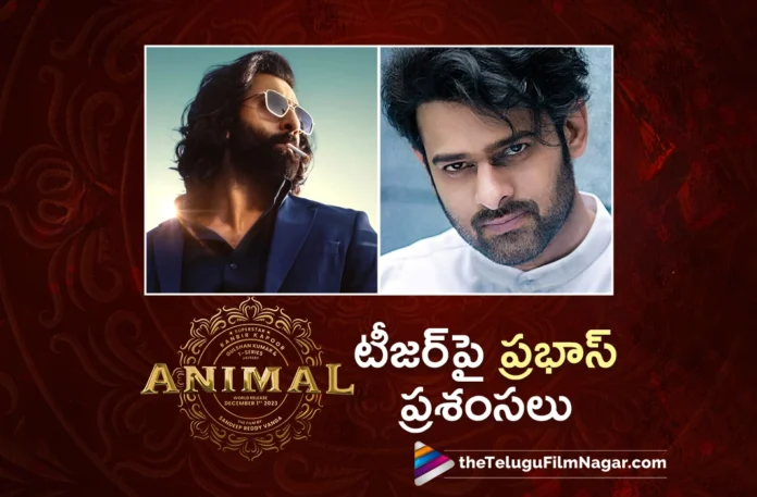 prabhas praises on animal movie teaser