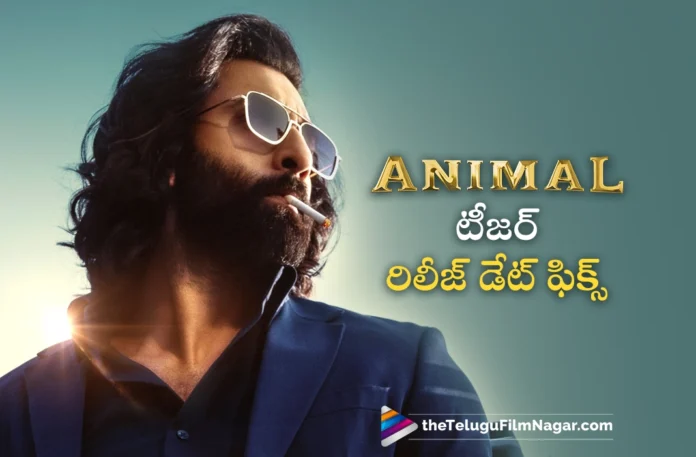 ranbir kapoor animal movie teaser release date fixed