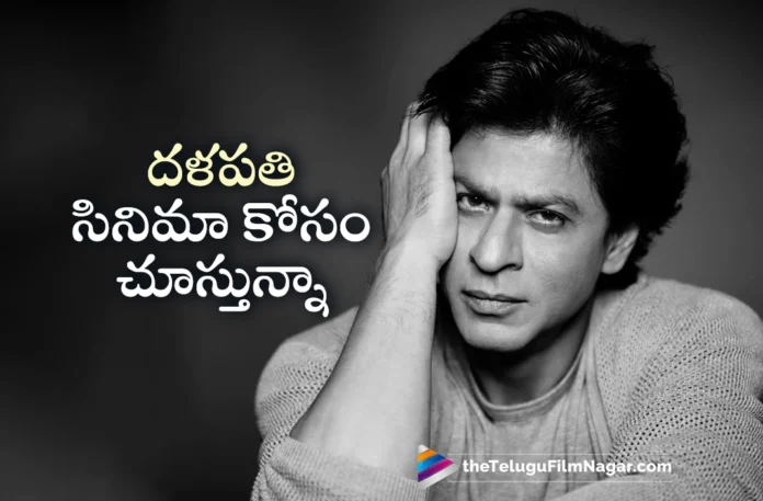 shah rukh khan interesting comment about thalapathy vijays next movie