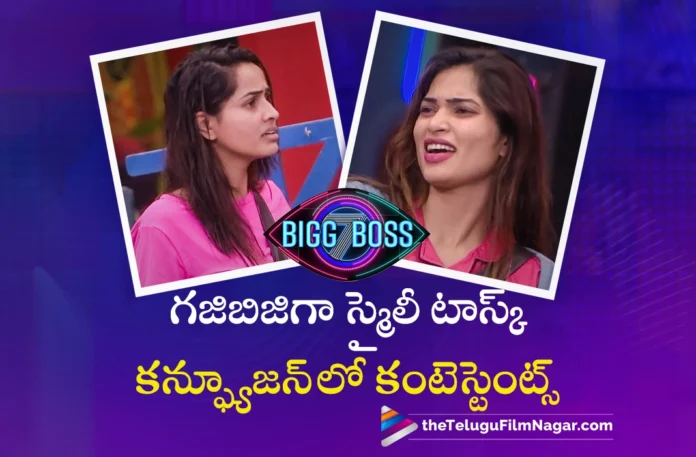 bigg boss season 7 telugu day 30 highlights