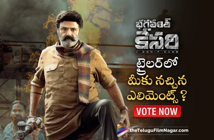 which element you like the most in bhagavanth kesari trailer