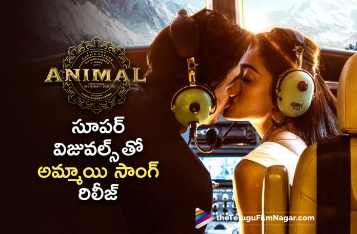 Ammayi Song Released From Animal Movie