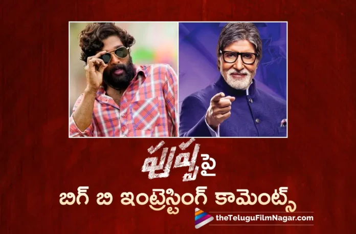 Amitabh Bachchan Praises Allu Arjun Dance Moves in Srivalli Song From Pushpa Movie