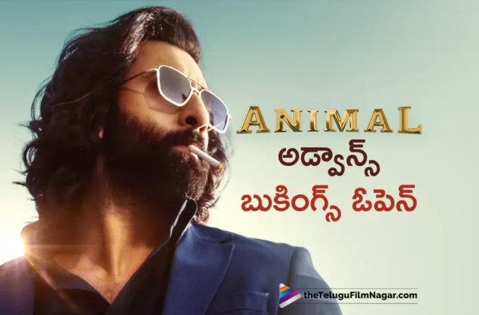 Animal Movie Advance Bookings Open From Today