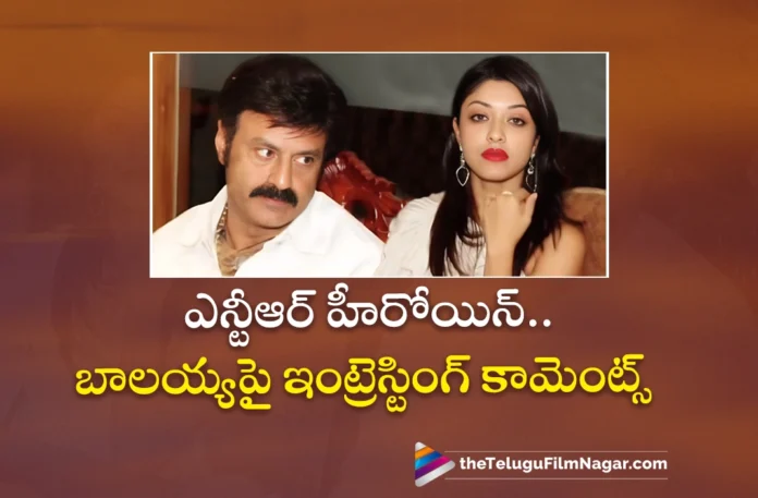 Jr NTR Heroine Payal Ghosh Interesting Comments on Nandamuri Balakrishna