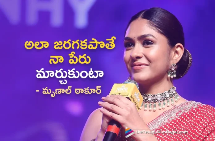 Mrunal Thakur Reveals Interesting Facts About Hi Nanna in Pre Release Event