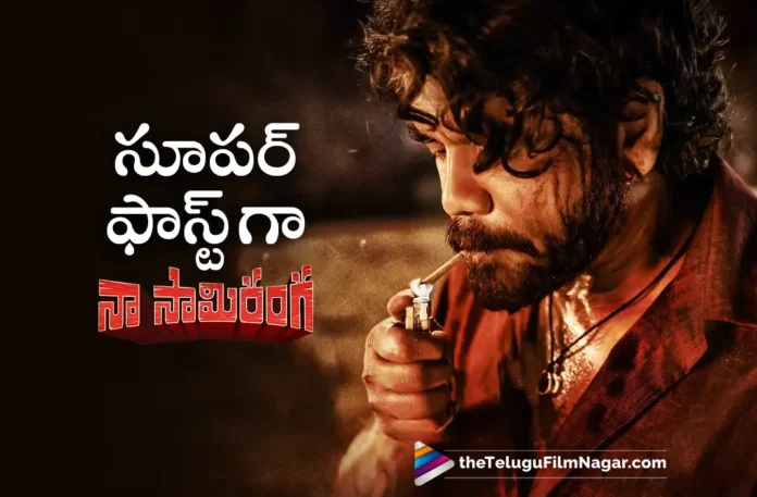 Naa Saami Ranga shooting update