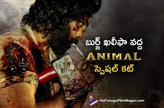 animal movie special cut on burj khalifa