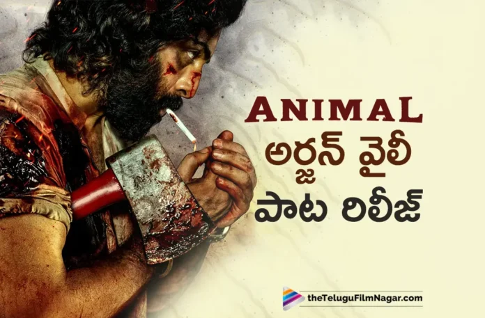 arjan velly song out from animal movie