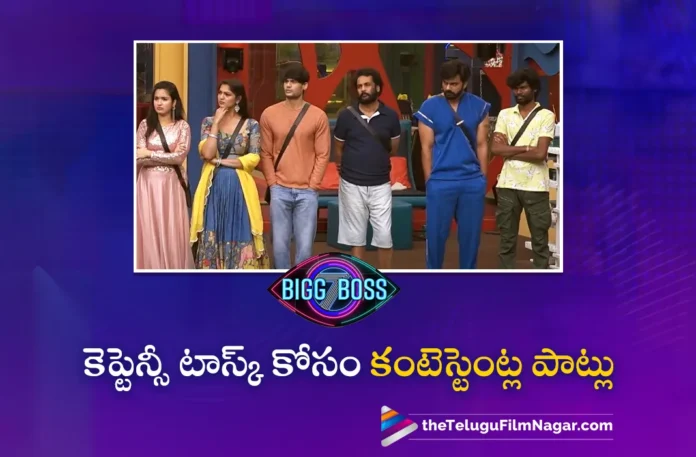 bigg boss season 7 telugu day 81 highlights