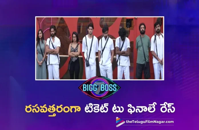 bigg boss season 7 telugu day 87 highlights