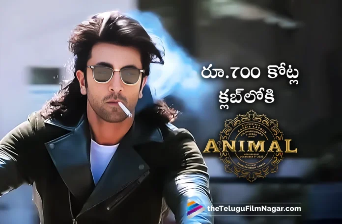 Animal Box Office Collection Day 10 Ranbir Kapoor's Action Drama Enters Rs 700 Cr Club Animal Box Office Collection Day 10 Ranbir Kapoor's Action Drama Enters Rs 700 Cr Club