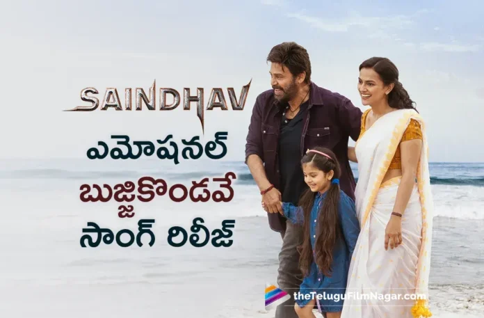 BujjiKondave Song out from saindhav movie
