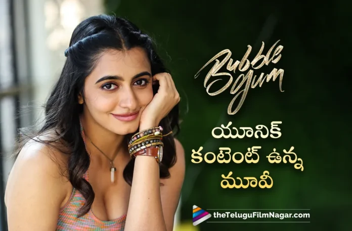Maanasa Choudhary Reveals Interesting Facts About Bubblegum Movie