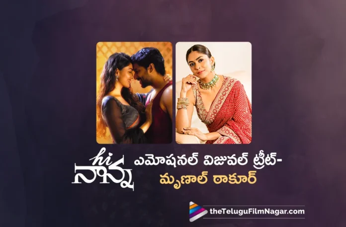 Mrunal Thakur About Hi Nanna Movie