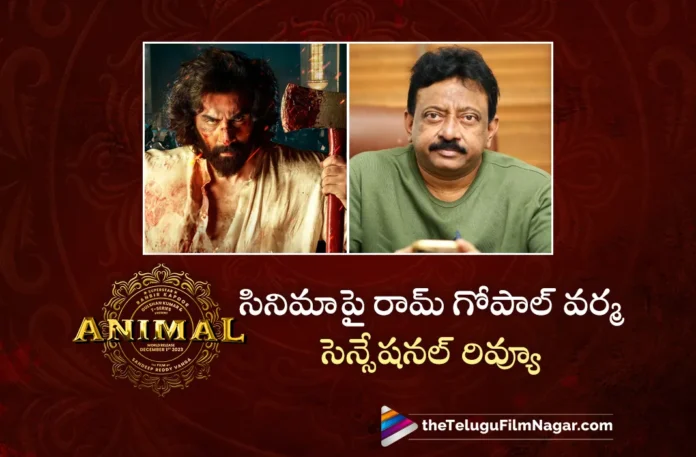 Ram Gopal Varma Sensational Review on Animal Movie