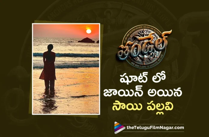 Sai Pallavi Joins In Thandel Shooting