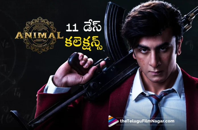 animal 11 days collections animal 11 days collections