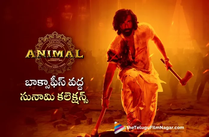 animal movie 3 days world wide collections