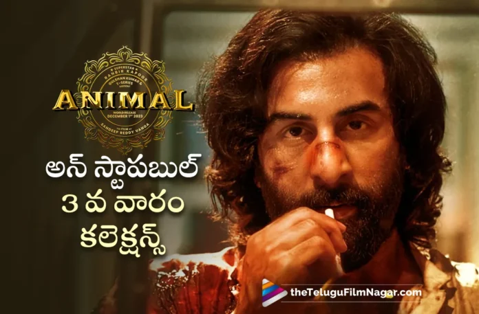 animal movie 3rd week world wide collections