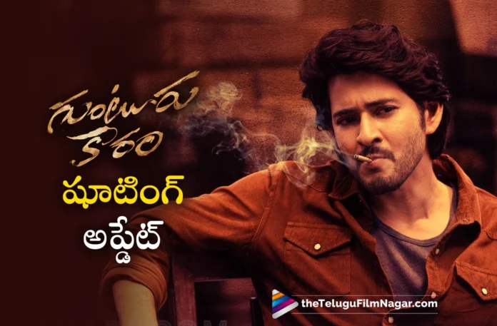 guntur kaaram shooting update