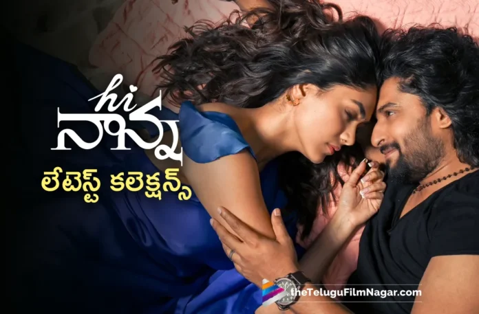 hi nanna latest collections