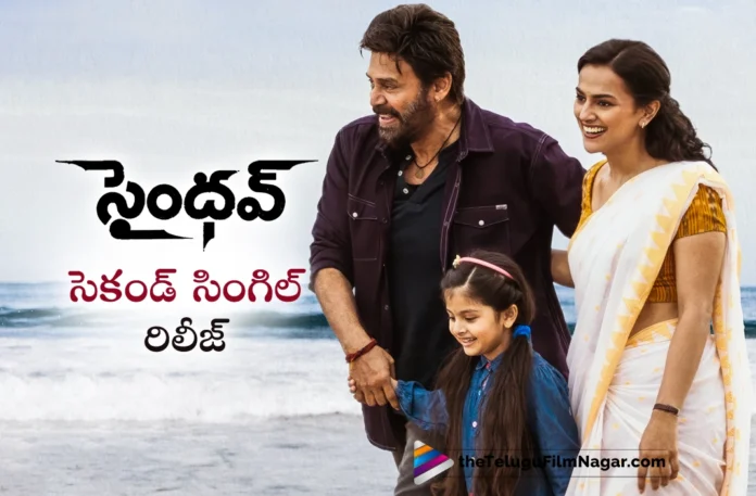 saindhav second single out