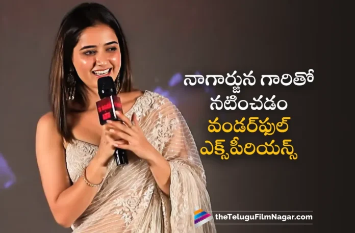 Naa Saami Ranga Movie Success Celebrations Ashika Ranganath Praises Hero Nagarjuna