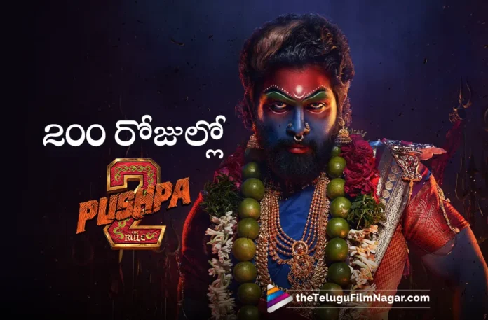 Pushpa the rule will be released in 200 days